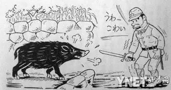日本兵自画鬼子进村，揭秘八路军到底有没有抗日