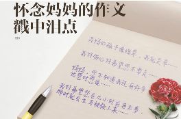 妈妈突然车祸去世 11岁儿子的作文看哭老师