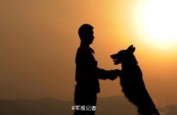 难以割舍的感情 “无声战友”惜别主人