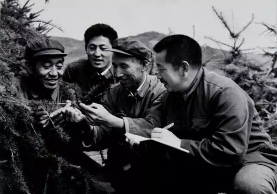 三代人!55年!世界之最河北造!