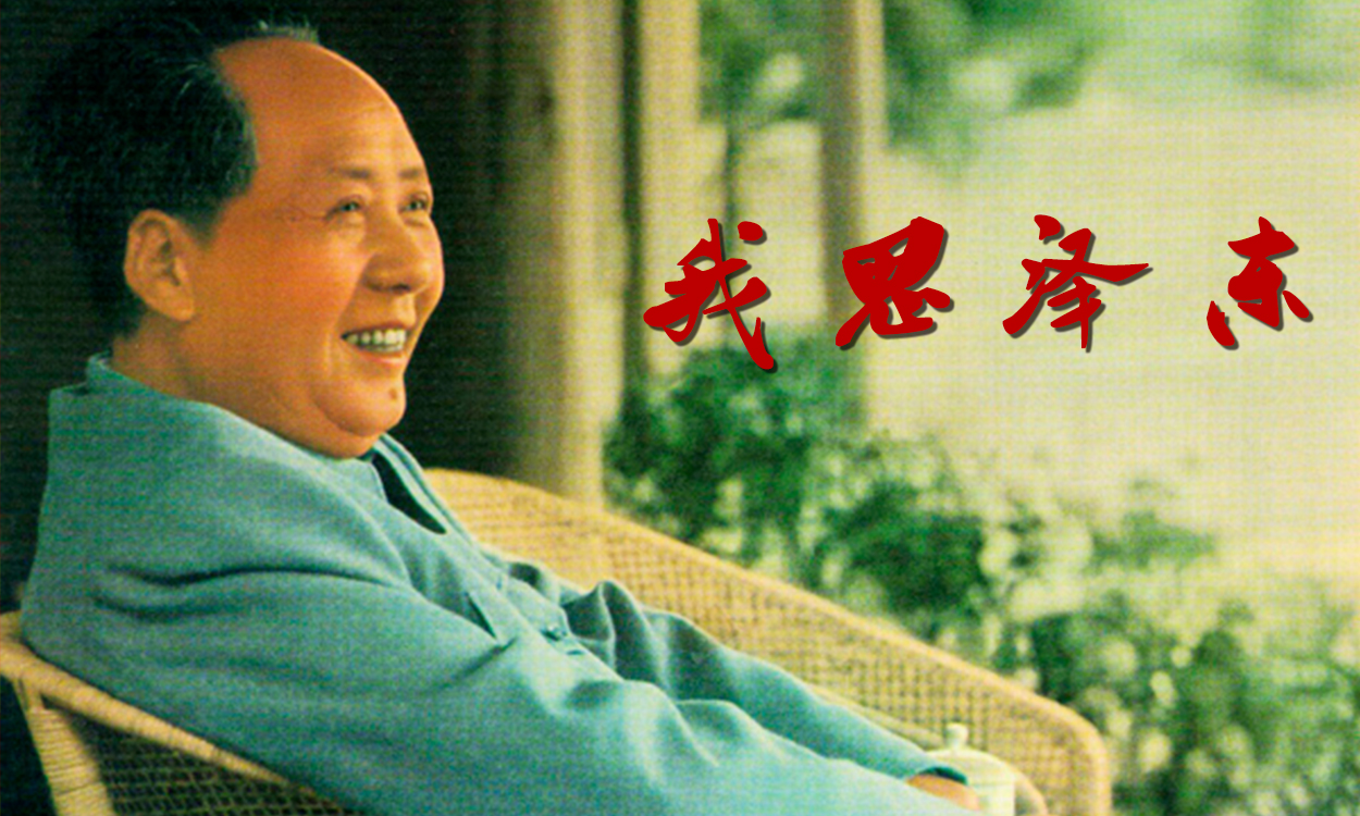 我思泽东