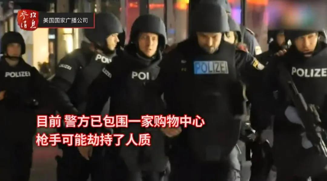 维也纳恐袭案细节曝光！多名全副武装袭击者仍在逃