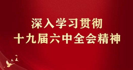 贯彻落实党的十九届六中全会精神，高举马克思主义旗帜