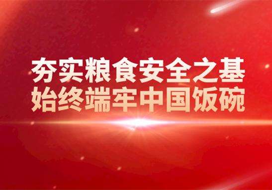 绷紧粮食安全之弦  践行“国之大者 ”
