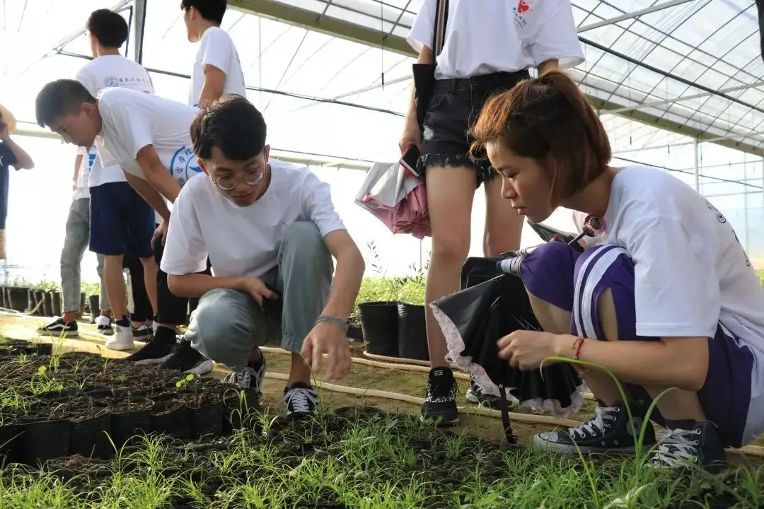 衢平共振，走好协作振兴之路