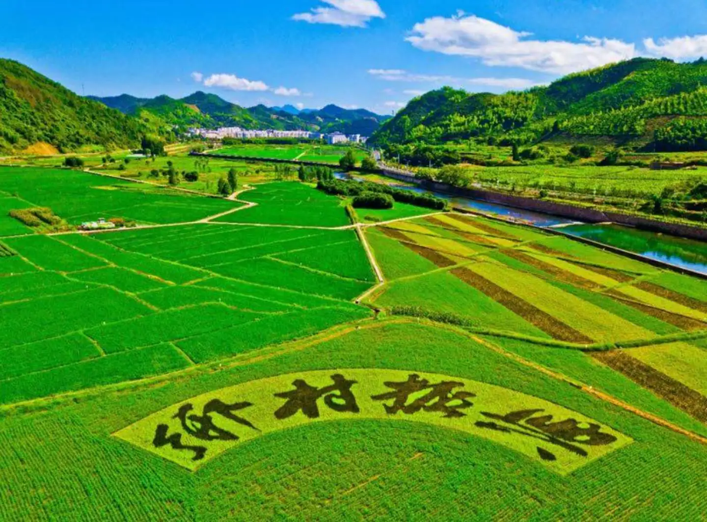 以科技创新助力乡村振兴