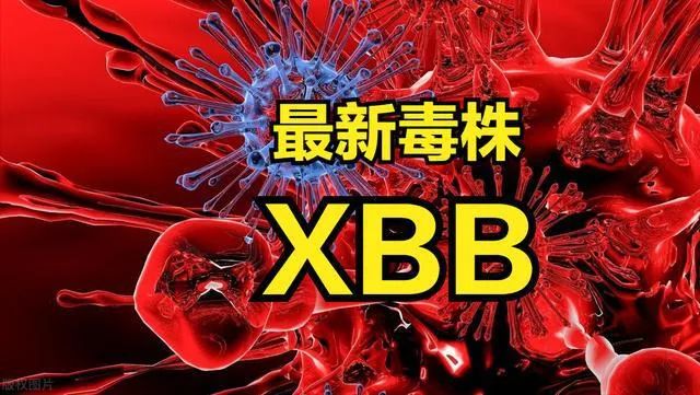 XBB新毒王入侵？谁在炒作新一轮抢购潮？