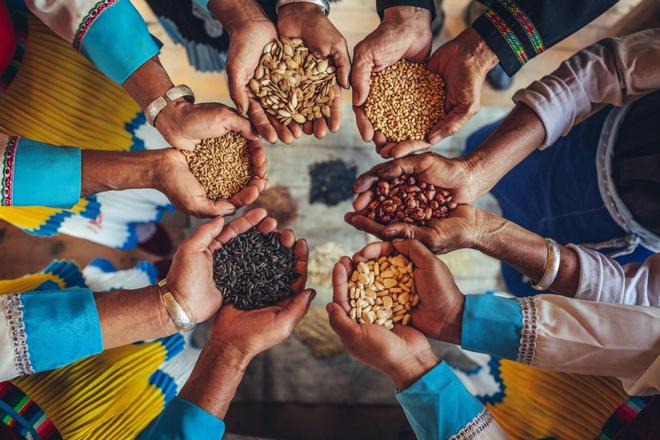 如何让80亿人吃饱——2023年世界粮食安全形势前瞻