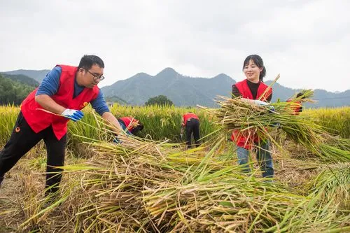 让青春在劳动中绽放“芳华”