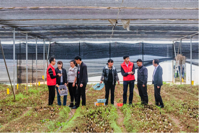 补齐乡村特色产业人才短板