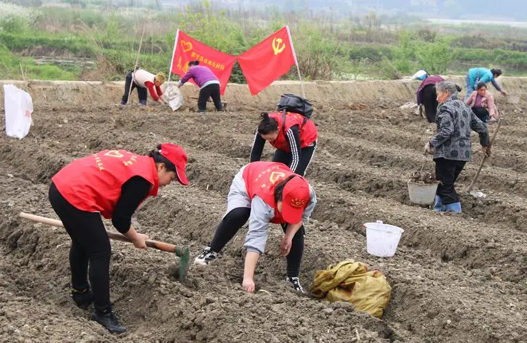 争当“根系干部” 盛开“为民之花”