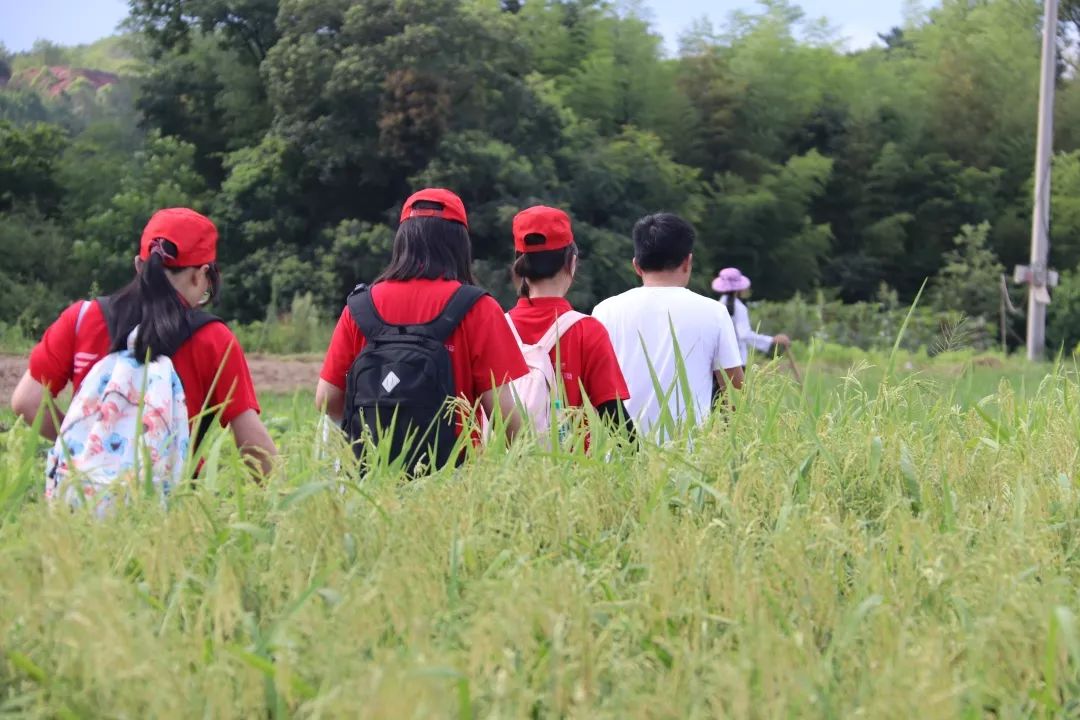 移动课堂让学习入脑更入心