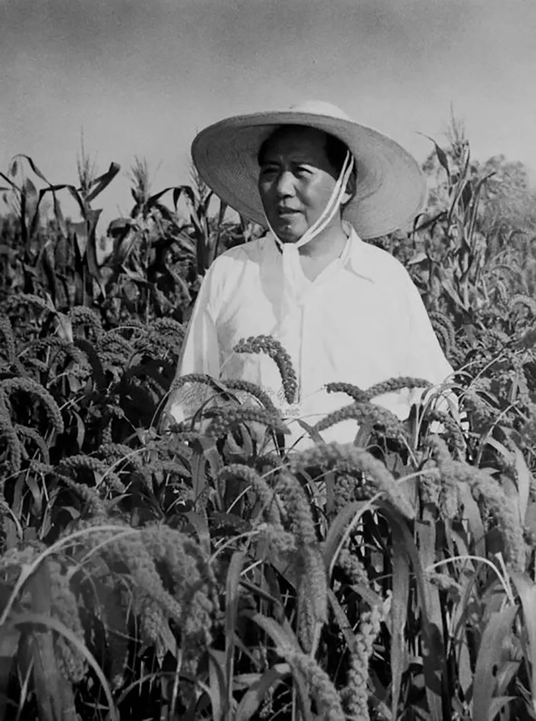1958：毛泽东的信心和疑心