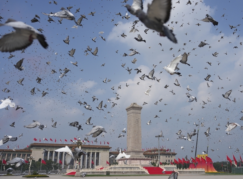 重新认识中国：中国是怎样的全球力量？