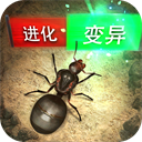 顺工惠安卓版