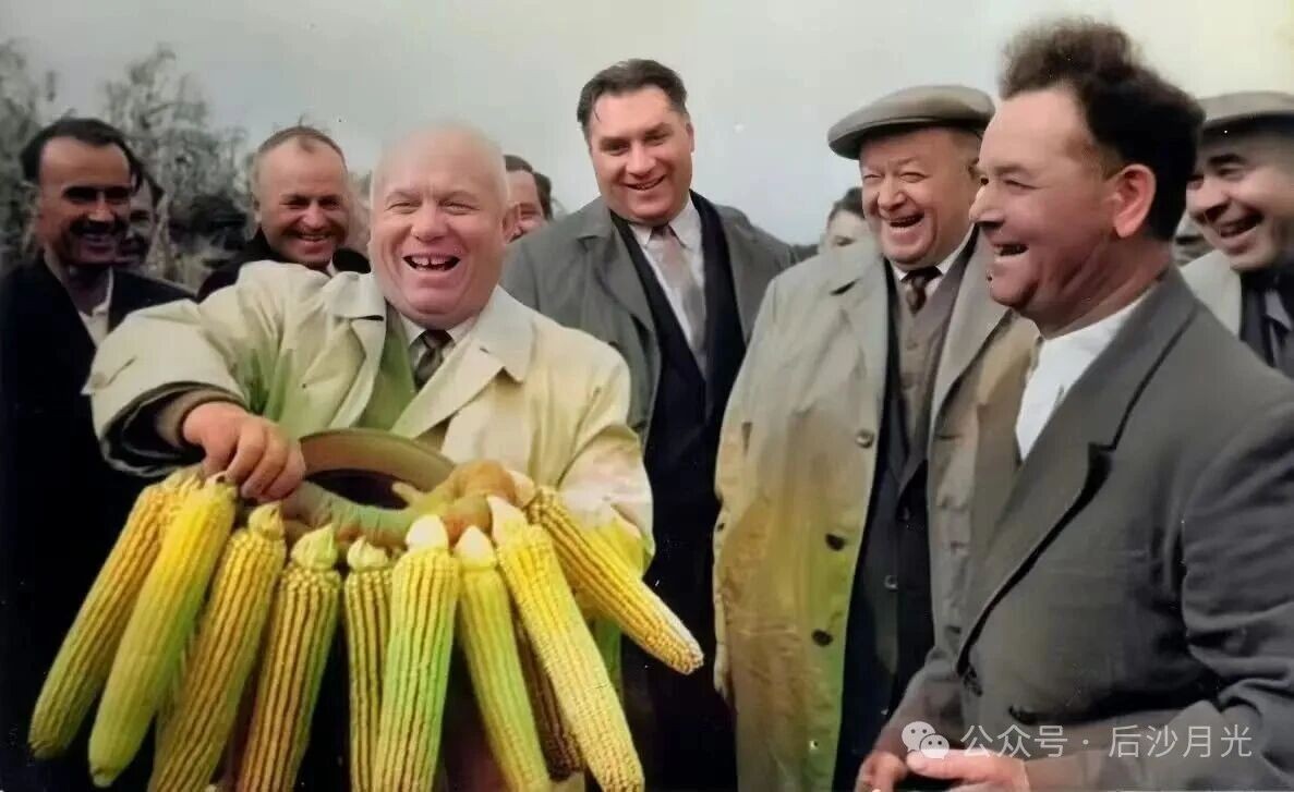 了解对手：美国是如何成为超级农业大国的？